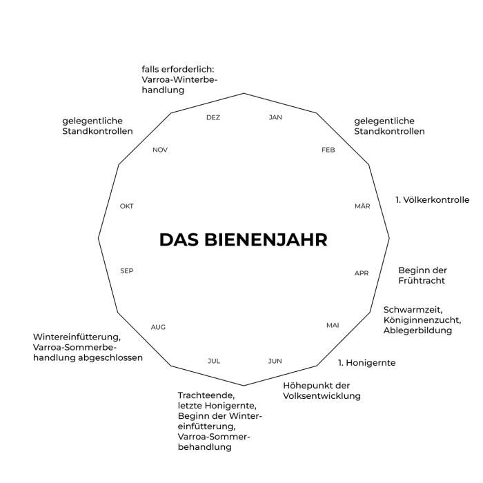 Das Bienenjahr